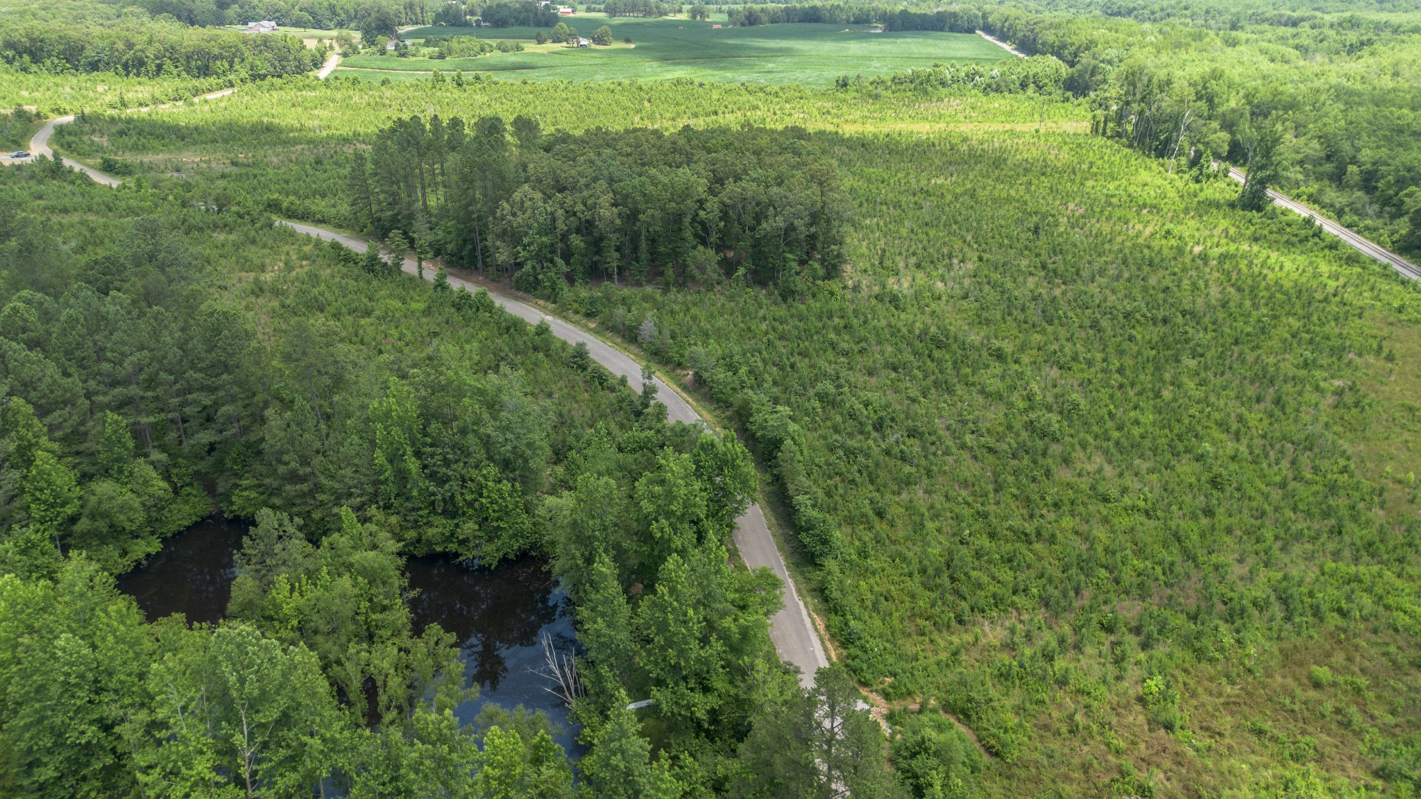 a view of a lush green space