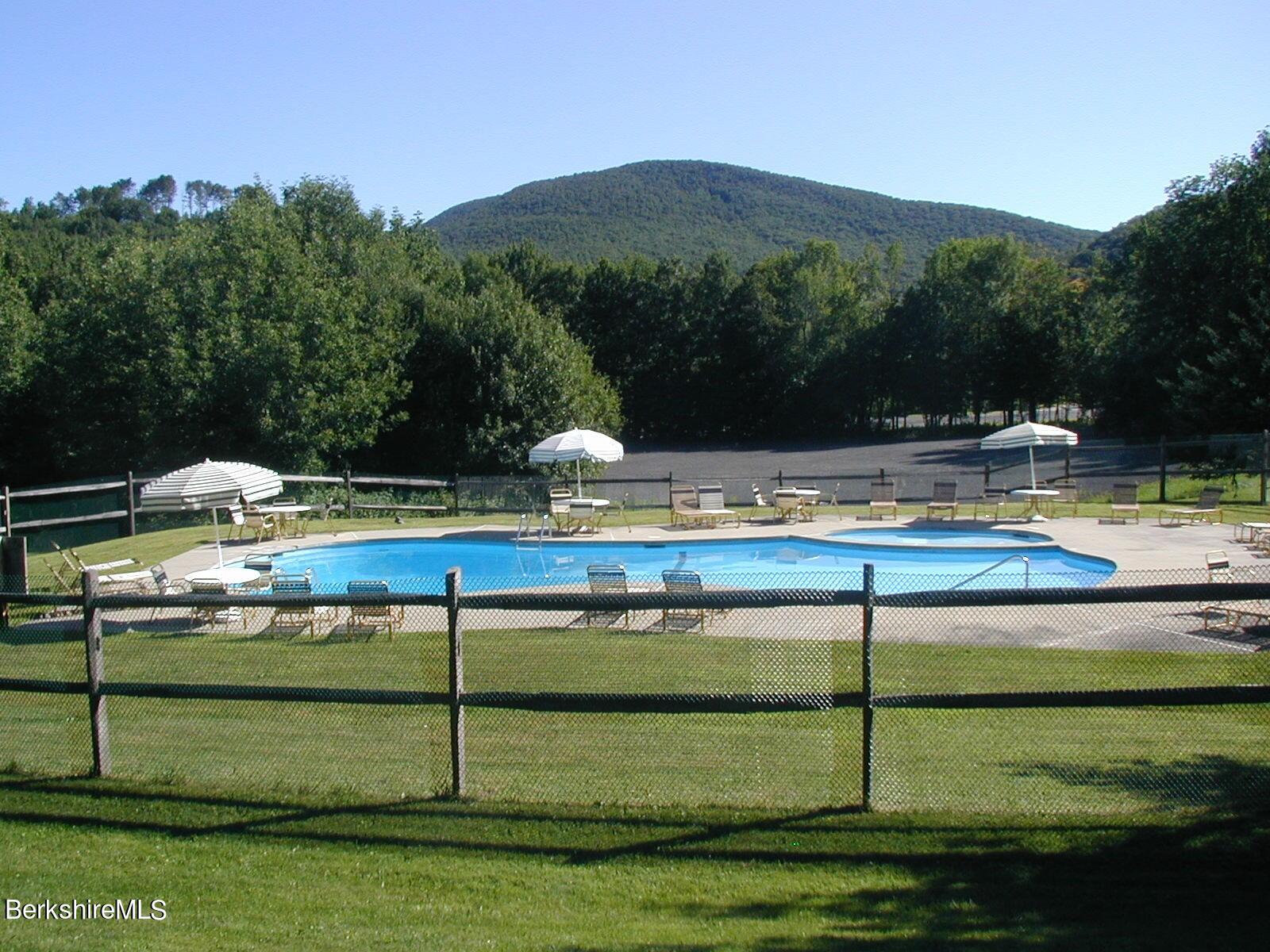 a view of a swimming pool with a yard