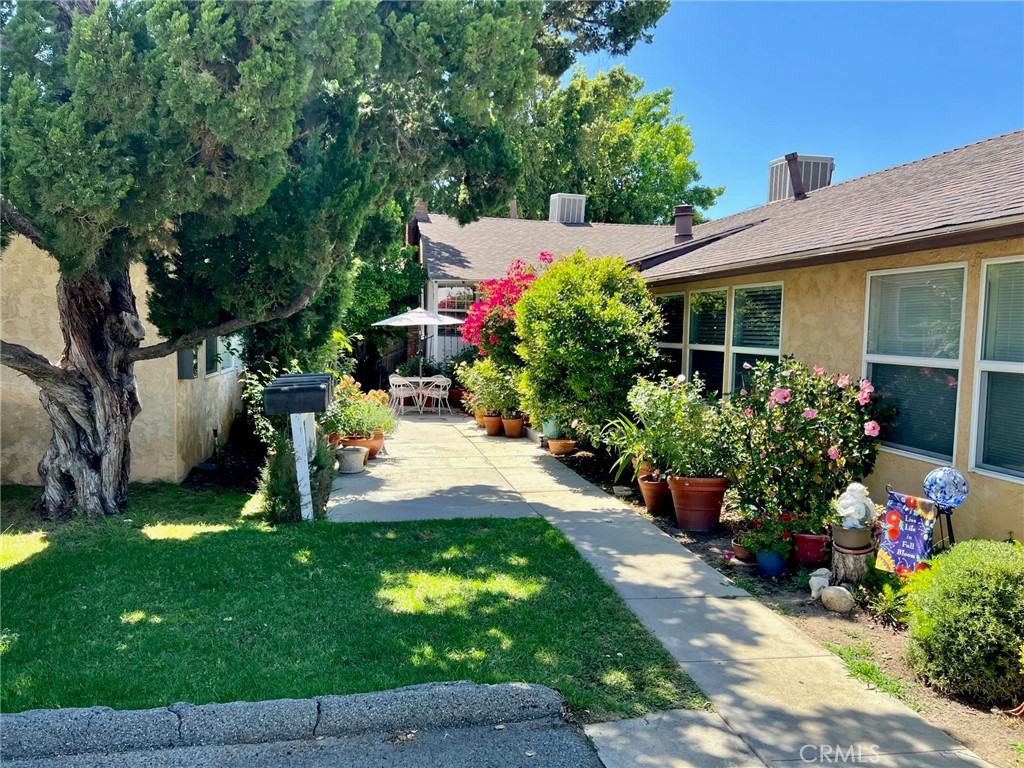 a view of a backyard with potted plants and large tree