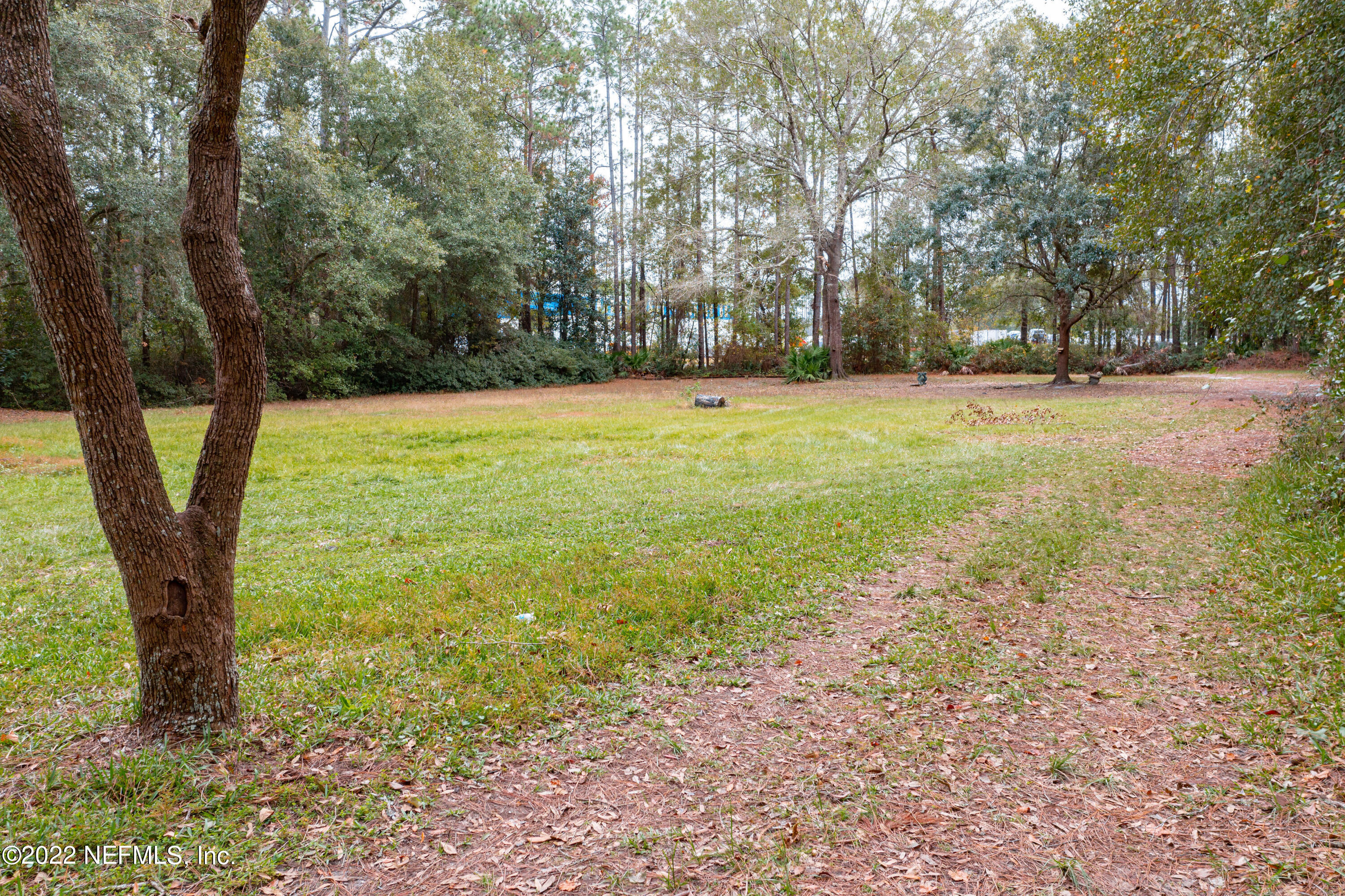 a view of outdoor space with trees