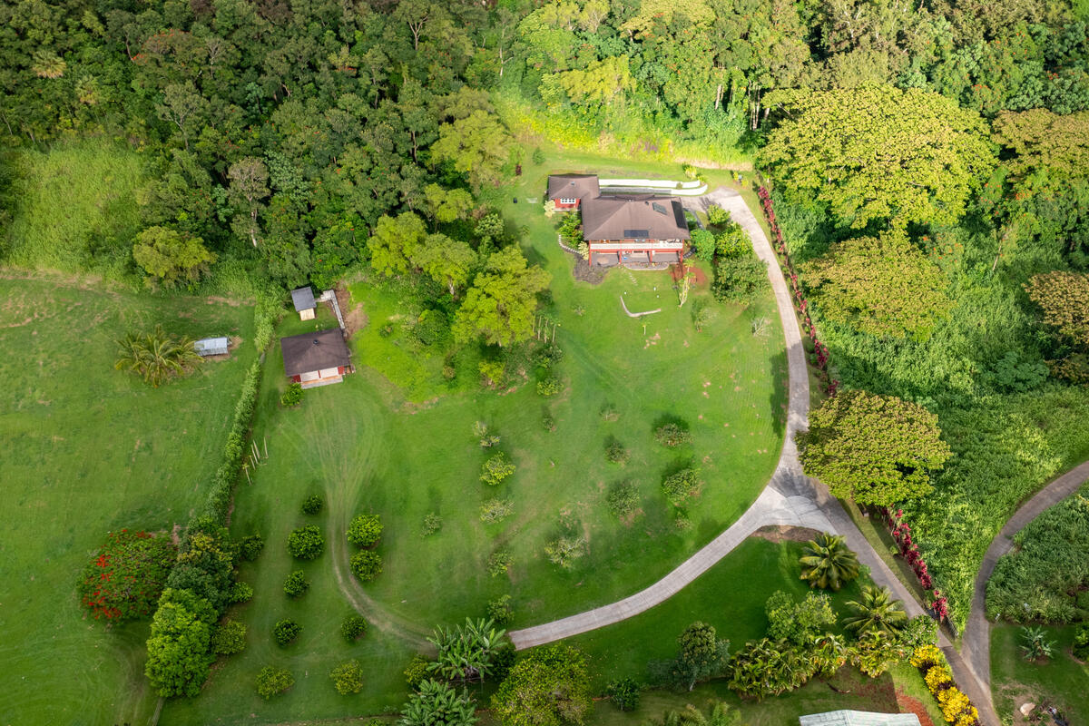 Share the bountiful fruits of this Kauai Island - Mini Farm (a perennial forest of nutritional energy) with friends and family.