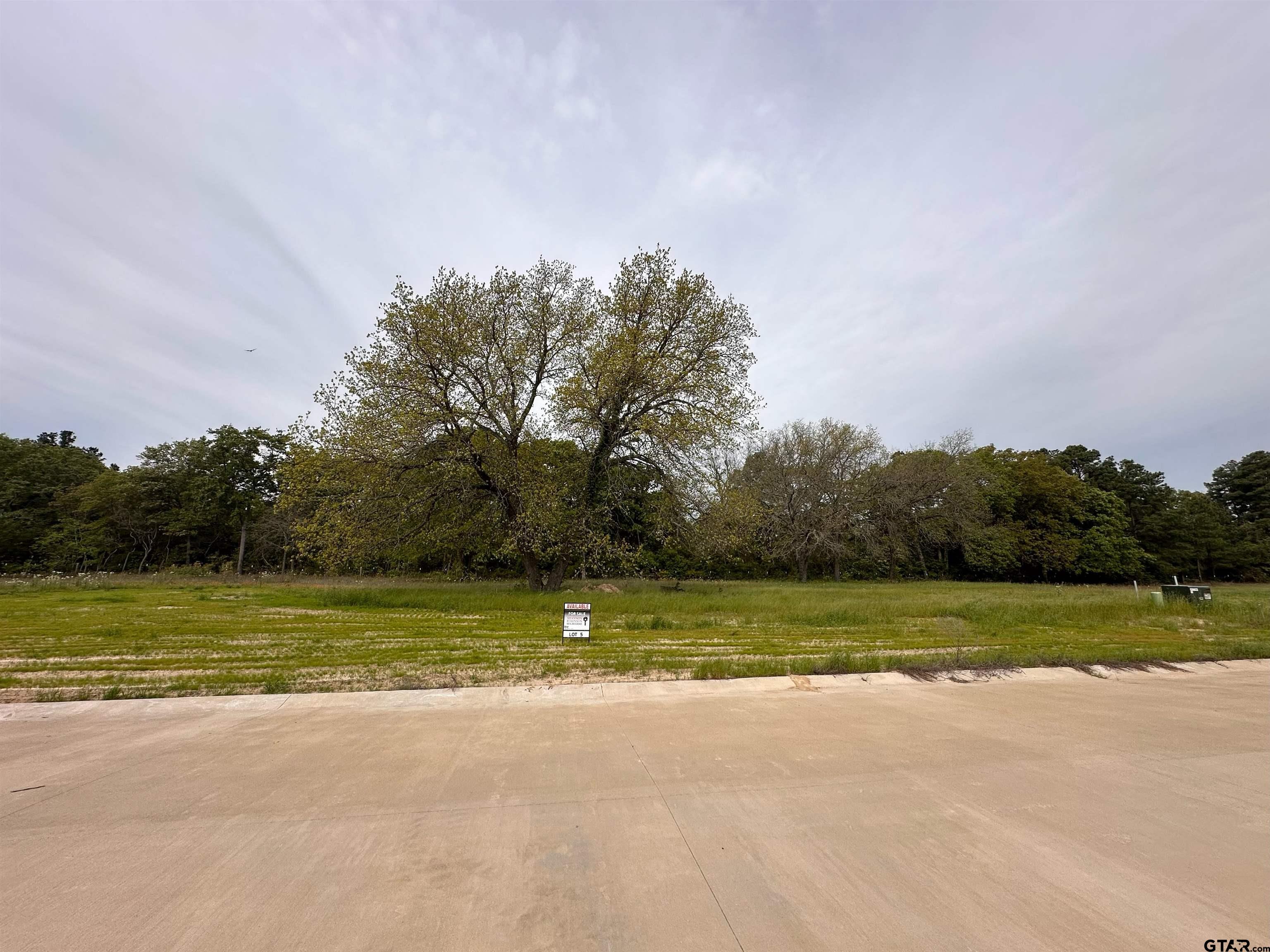 a view of a park with an outdoor space