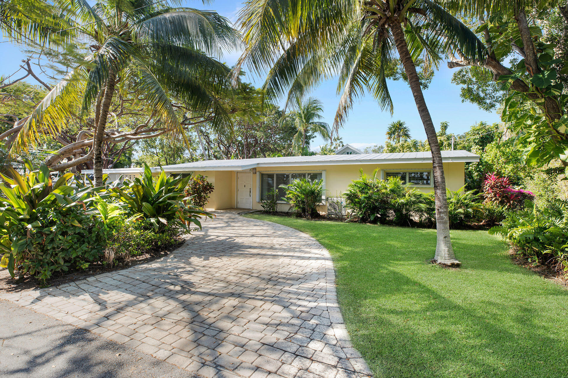 a view of a yard and a palm trees