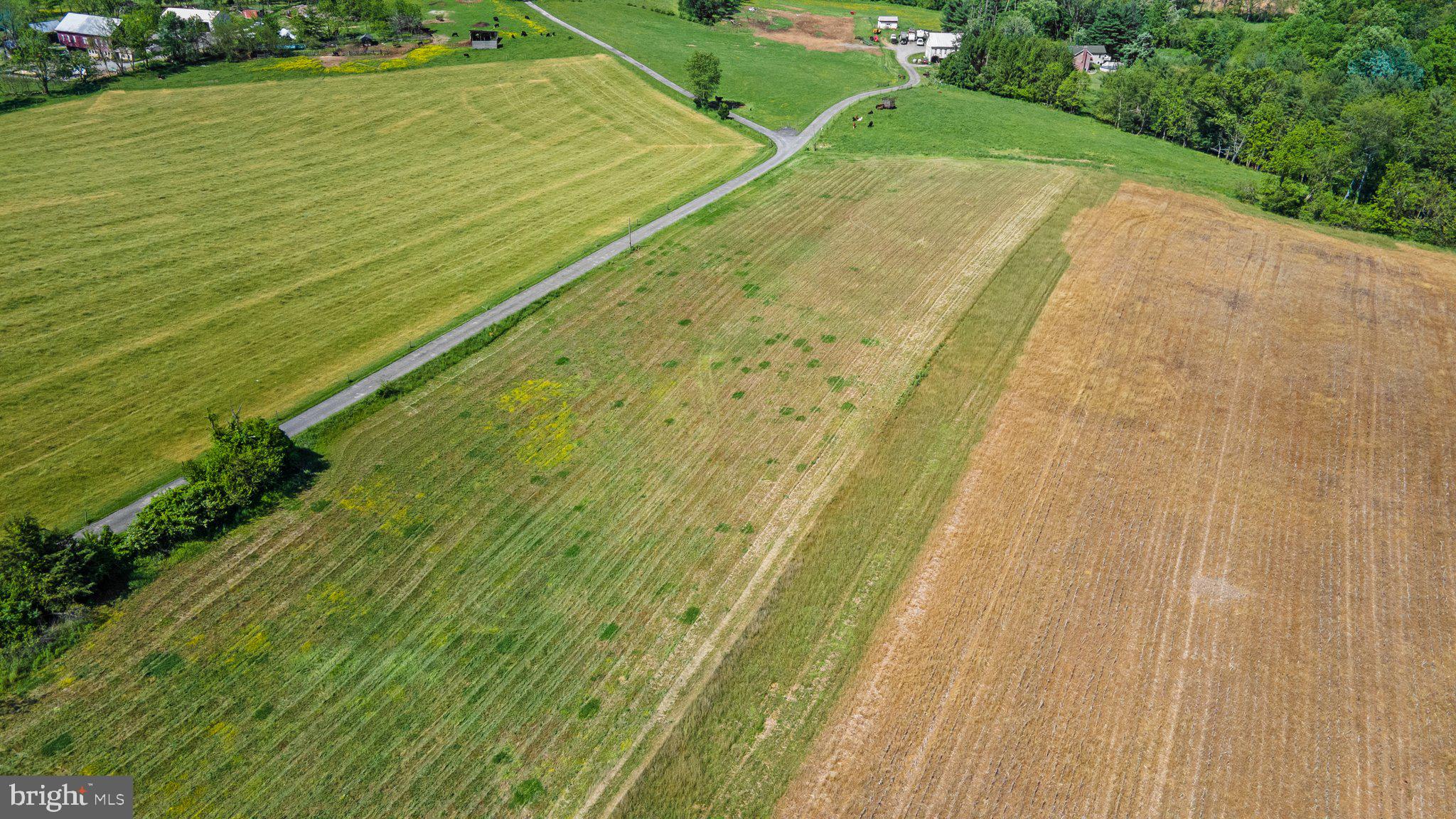 a view of a yard