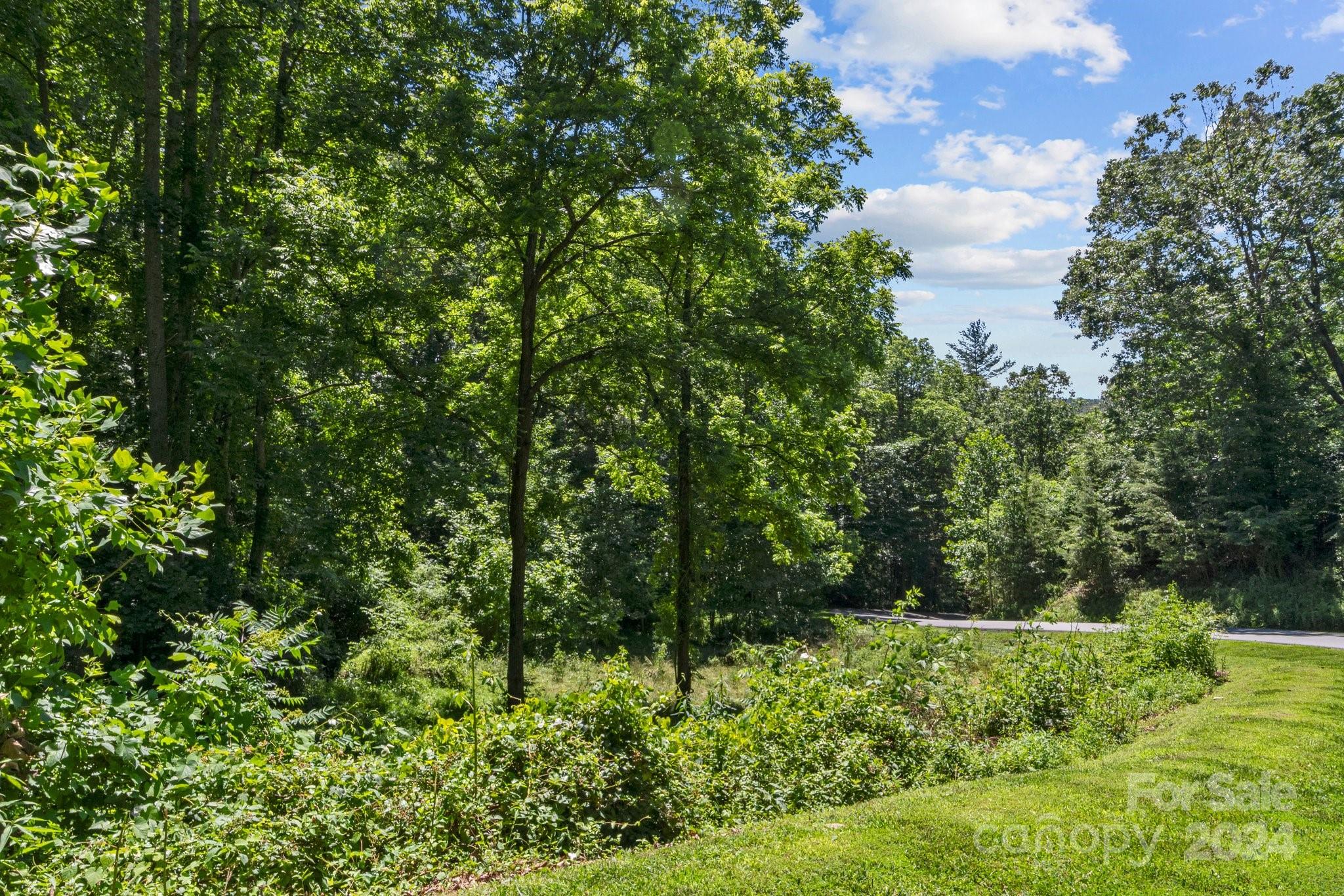 a view of a garden