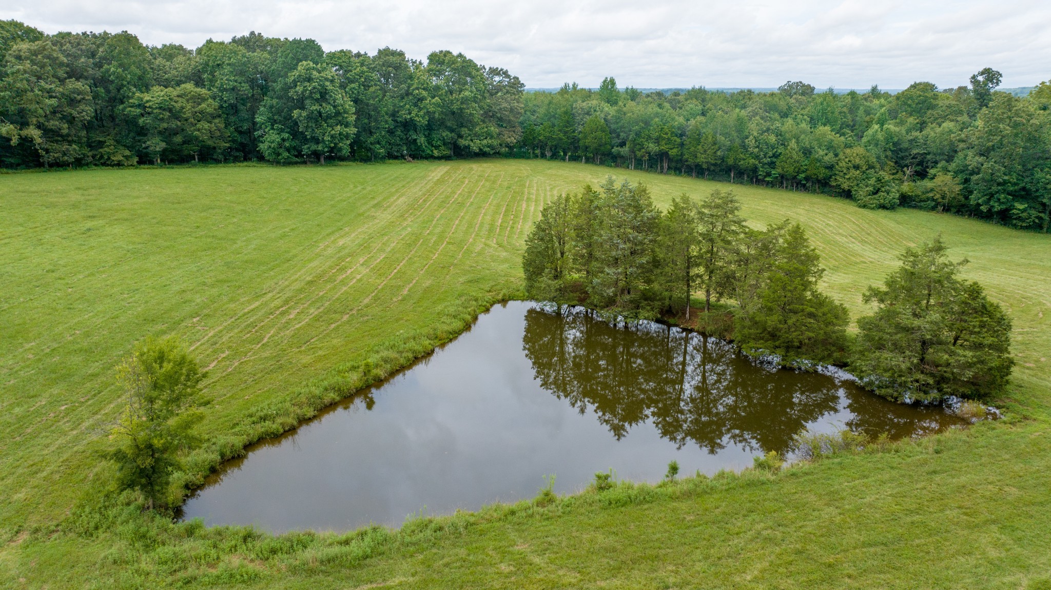 a view of a lake with a yard