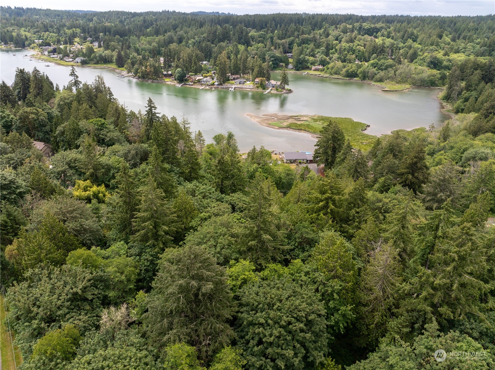 an aerial view of residential houses with outdoor space and lake view