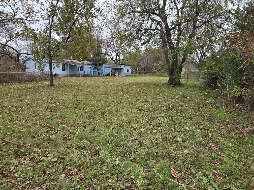 a view of yard with tree