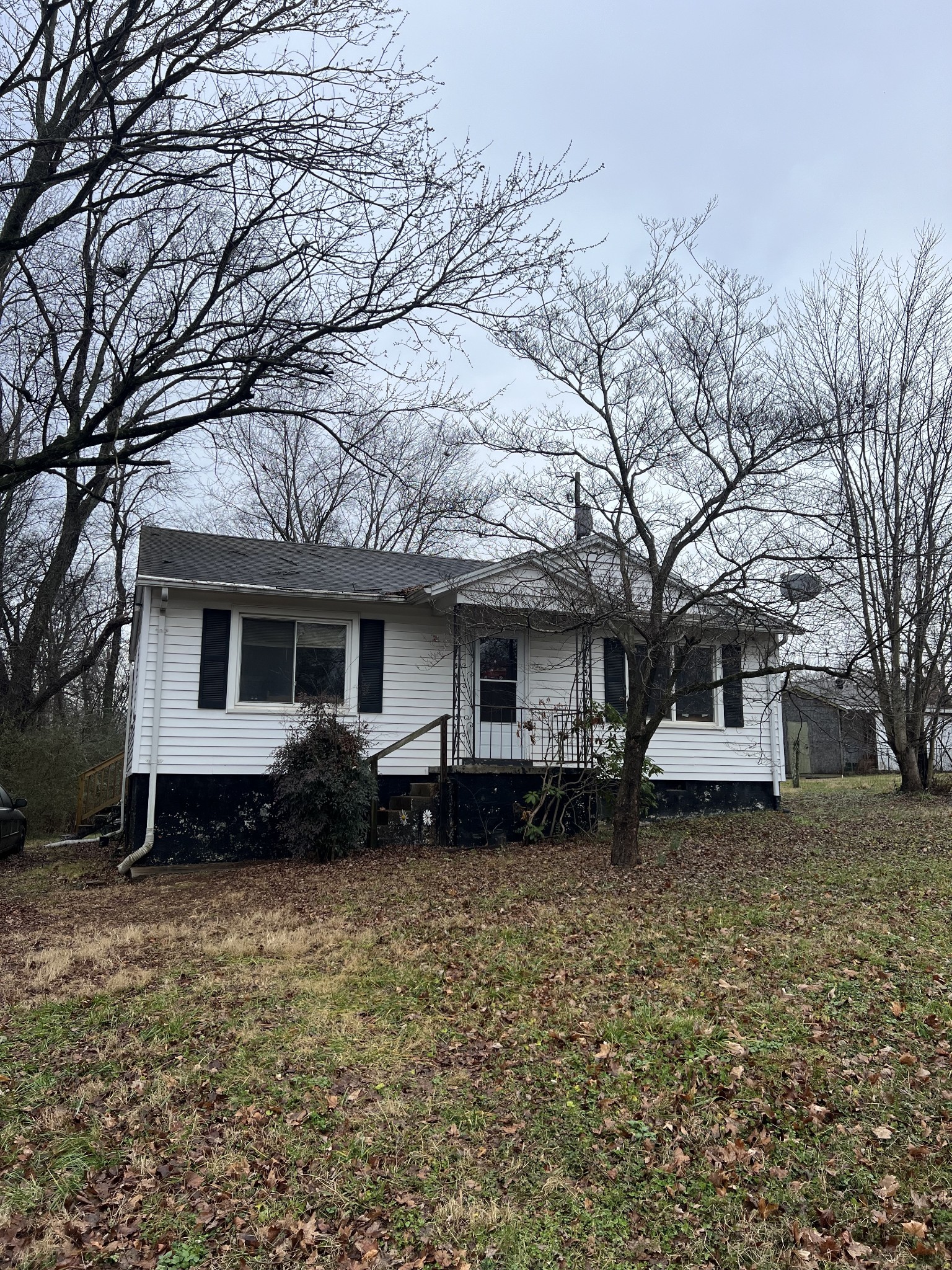 a house that has a tree in front of it