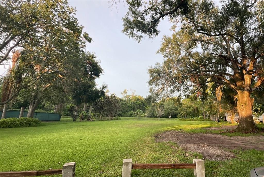 a view of a garden with trees