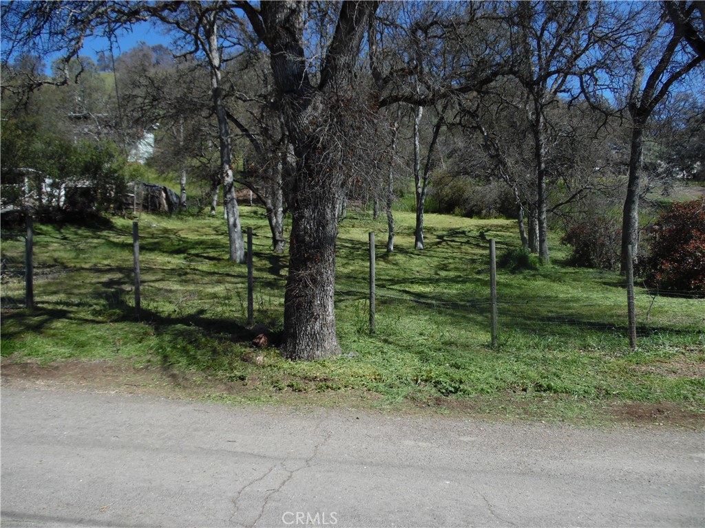 a view of a park