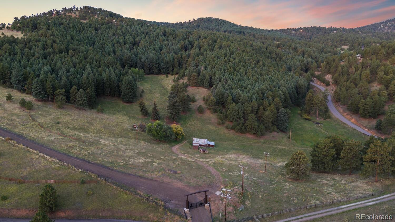 a view of a road with a forest