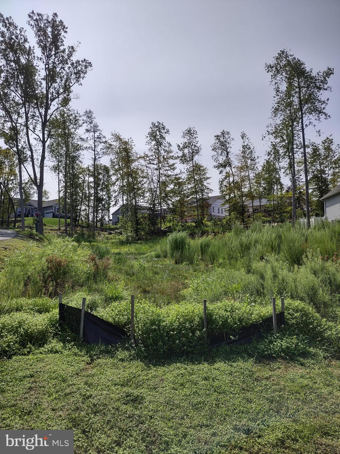 a view of a garden with a lake