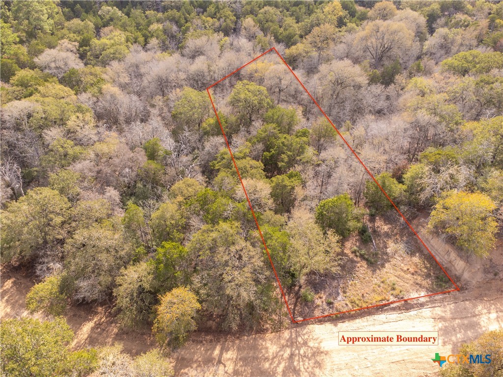 a view of a dry yard with green space