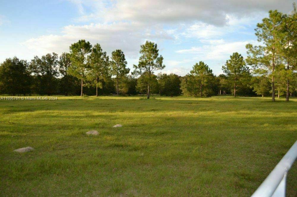 a view of a field with an trees in the background