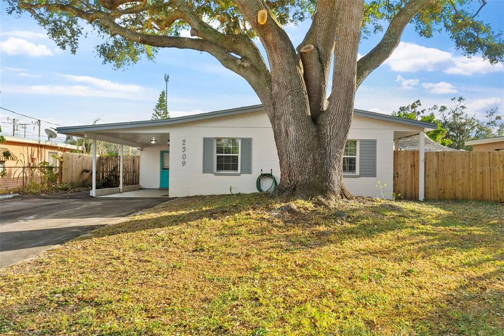 a view of a house with a tree in front of it