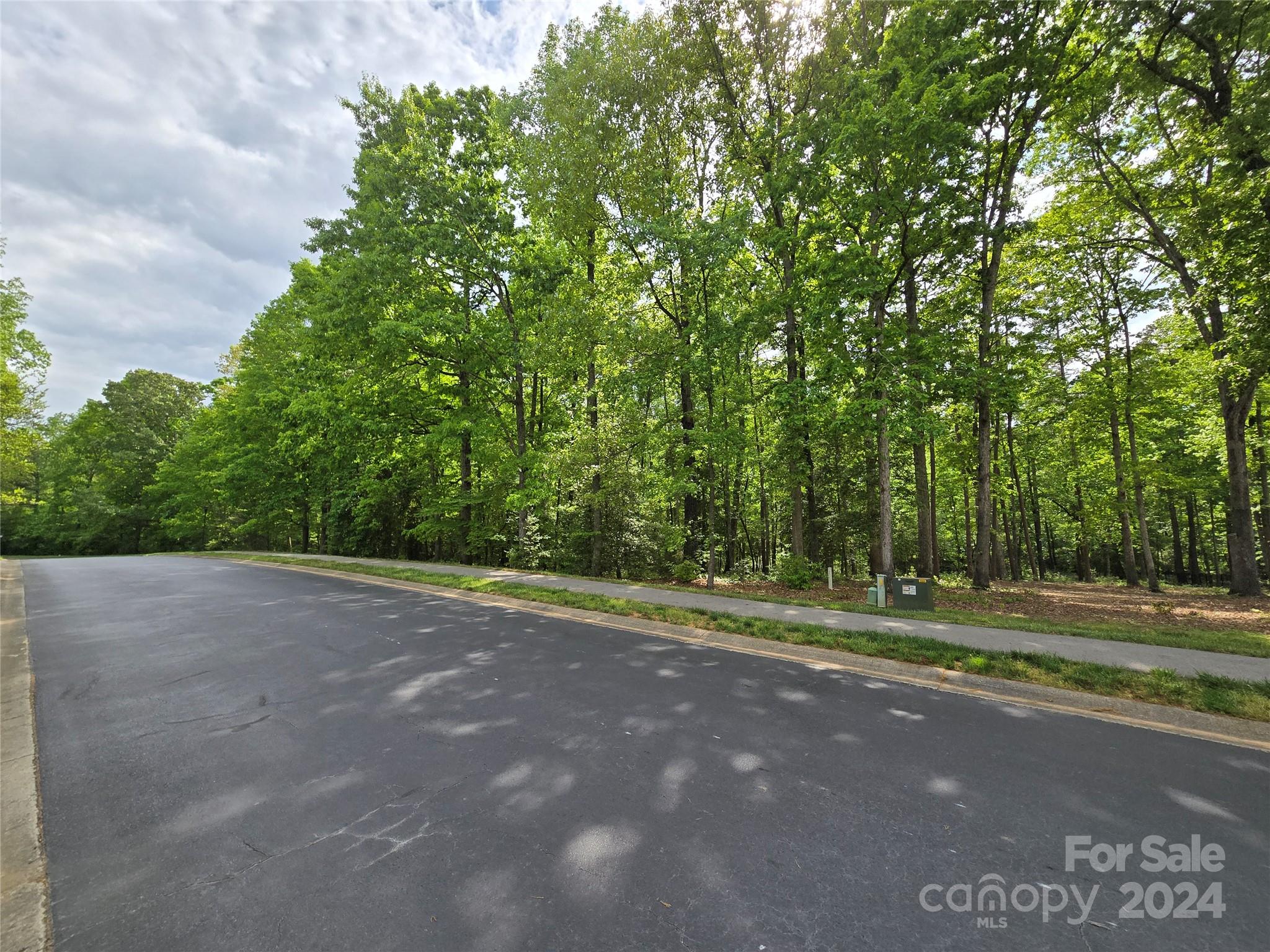 a view of a road with a trees