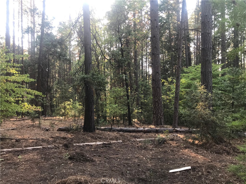 a view of outdoor space with trees