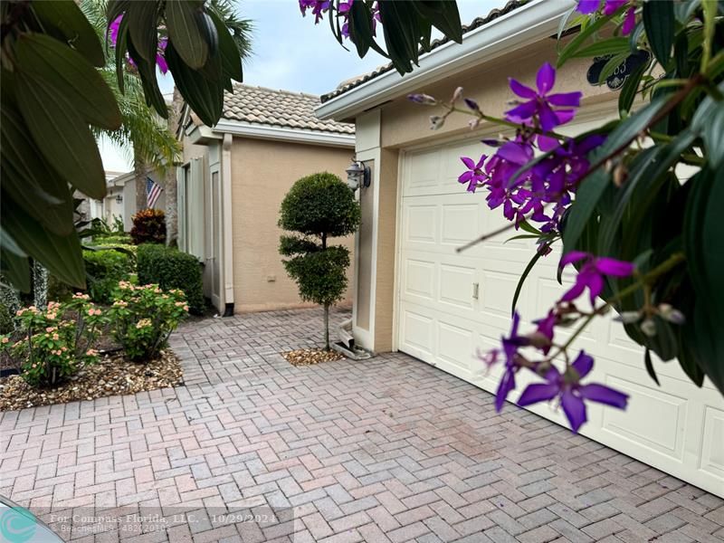 a view of lot of flowers in front of a house