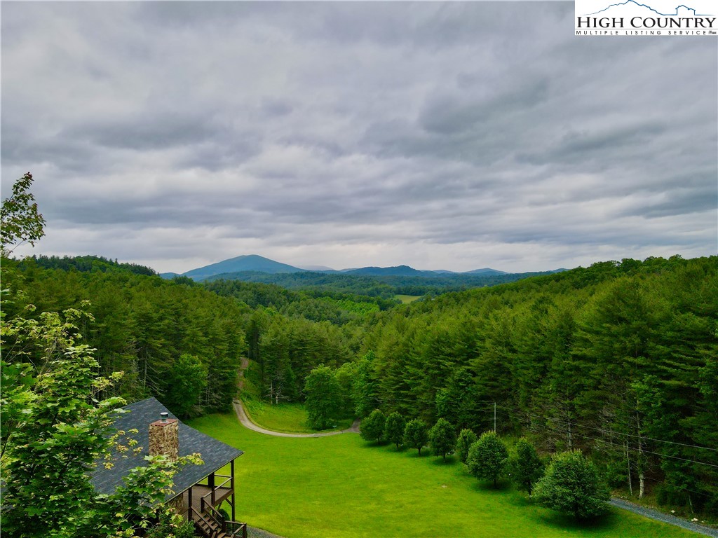 a view of a city with lush green forest