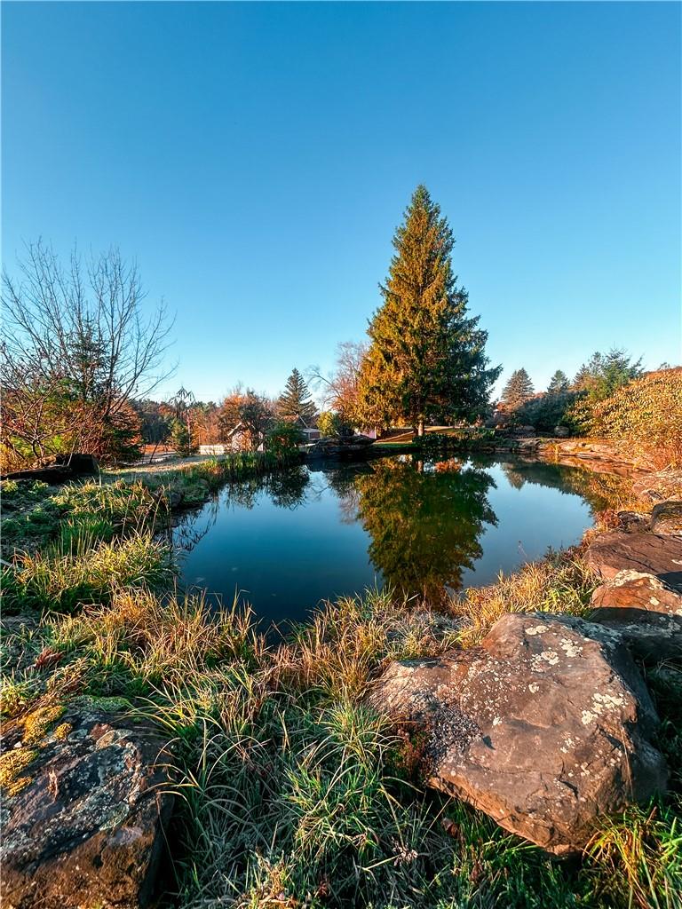 View of water feature