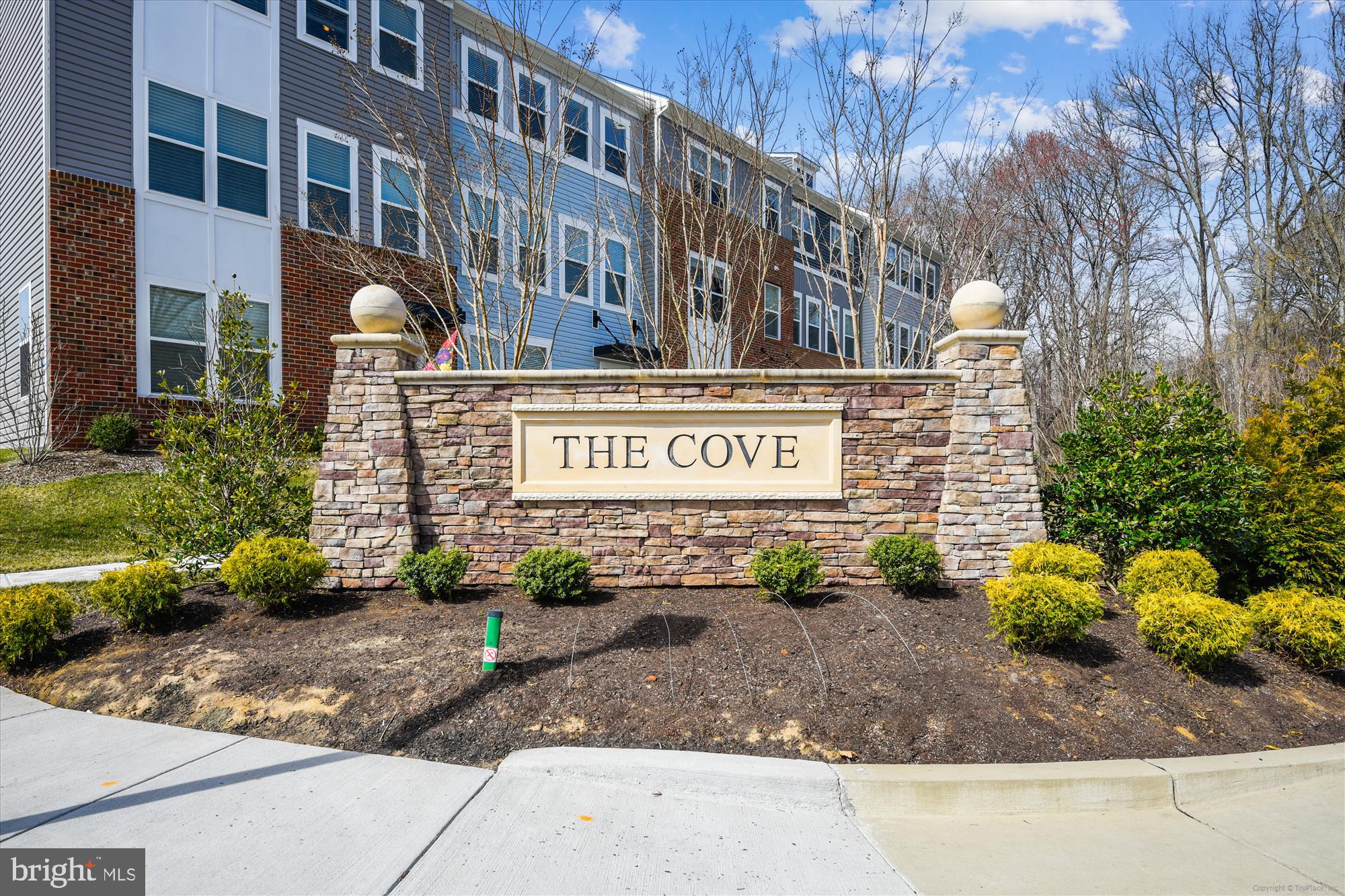 The Cove