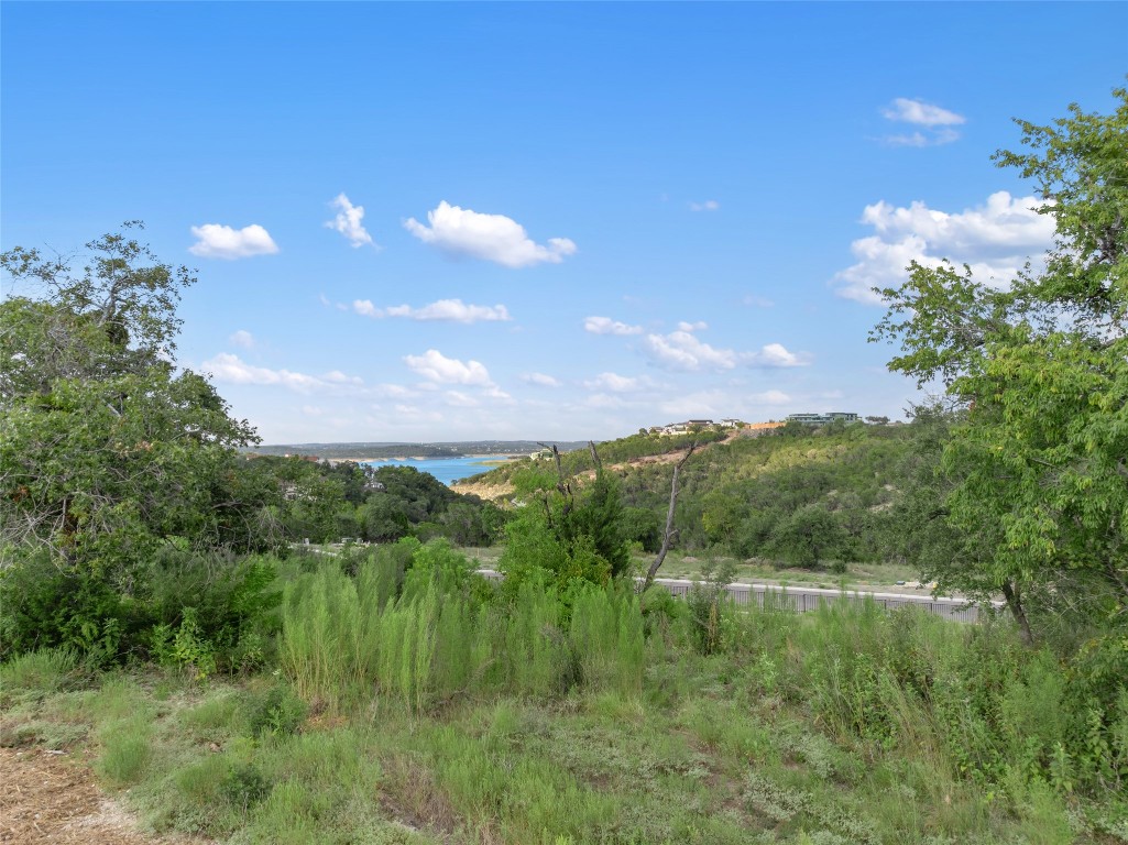 a view of a lake in middle of forest