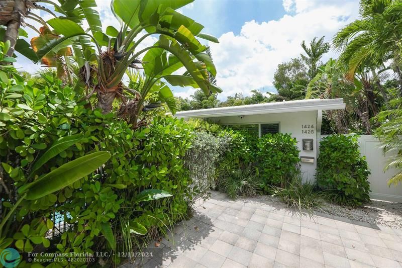 a view of backyard with plants and trees