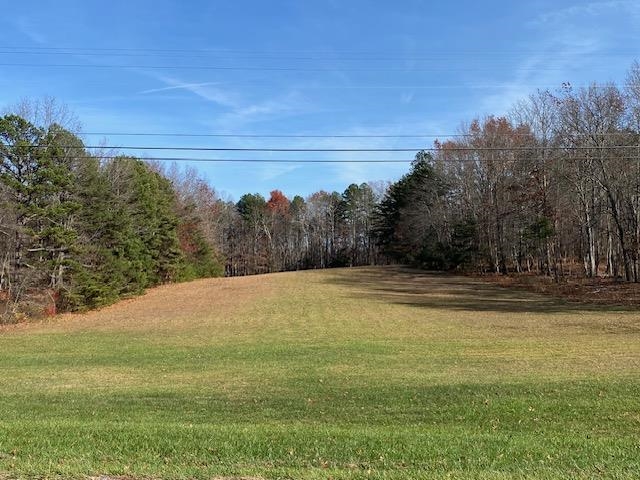 a view of a field with trees in the background