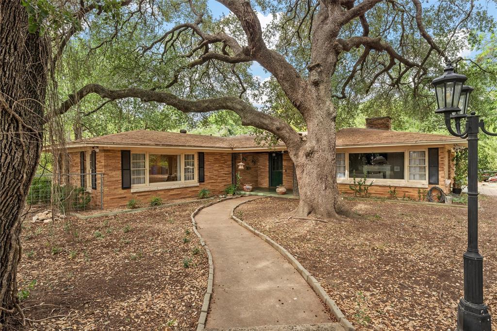 front view of a house with a large tree