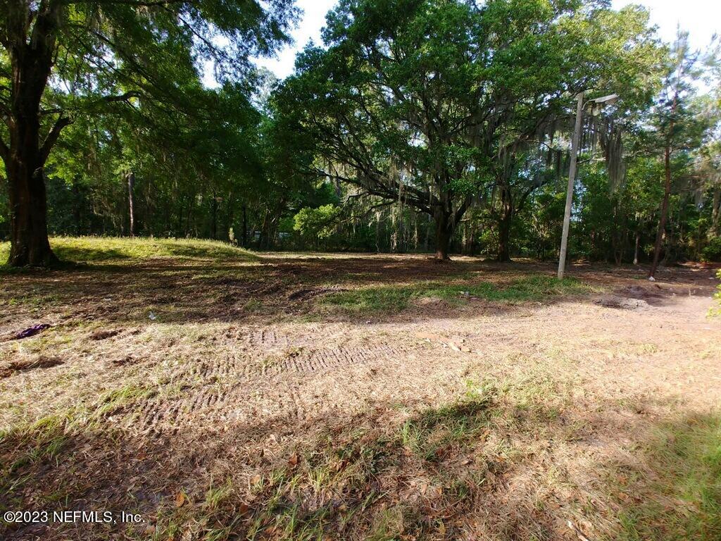 a view of a yard with trees