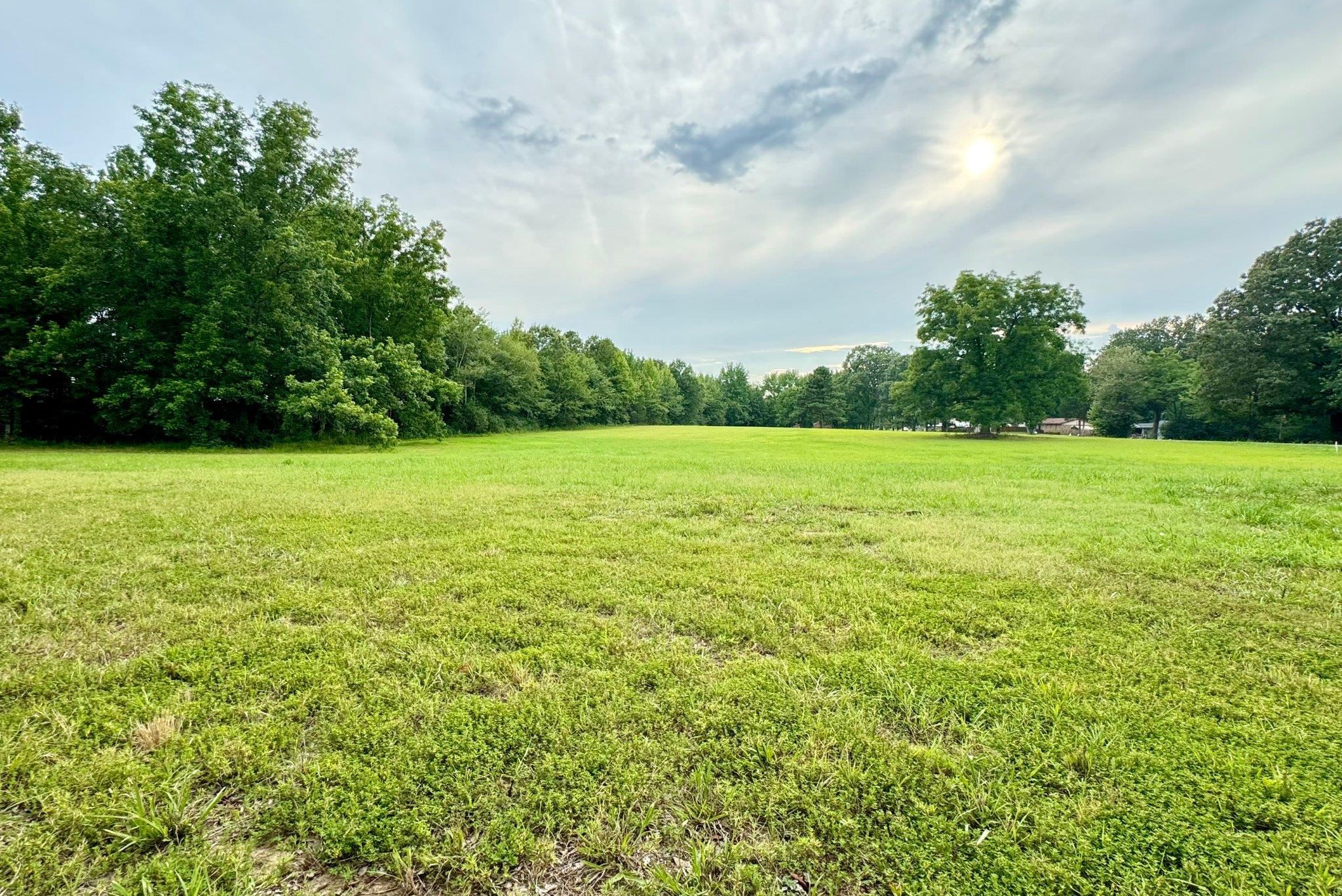 a view of field with trees in the background