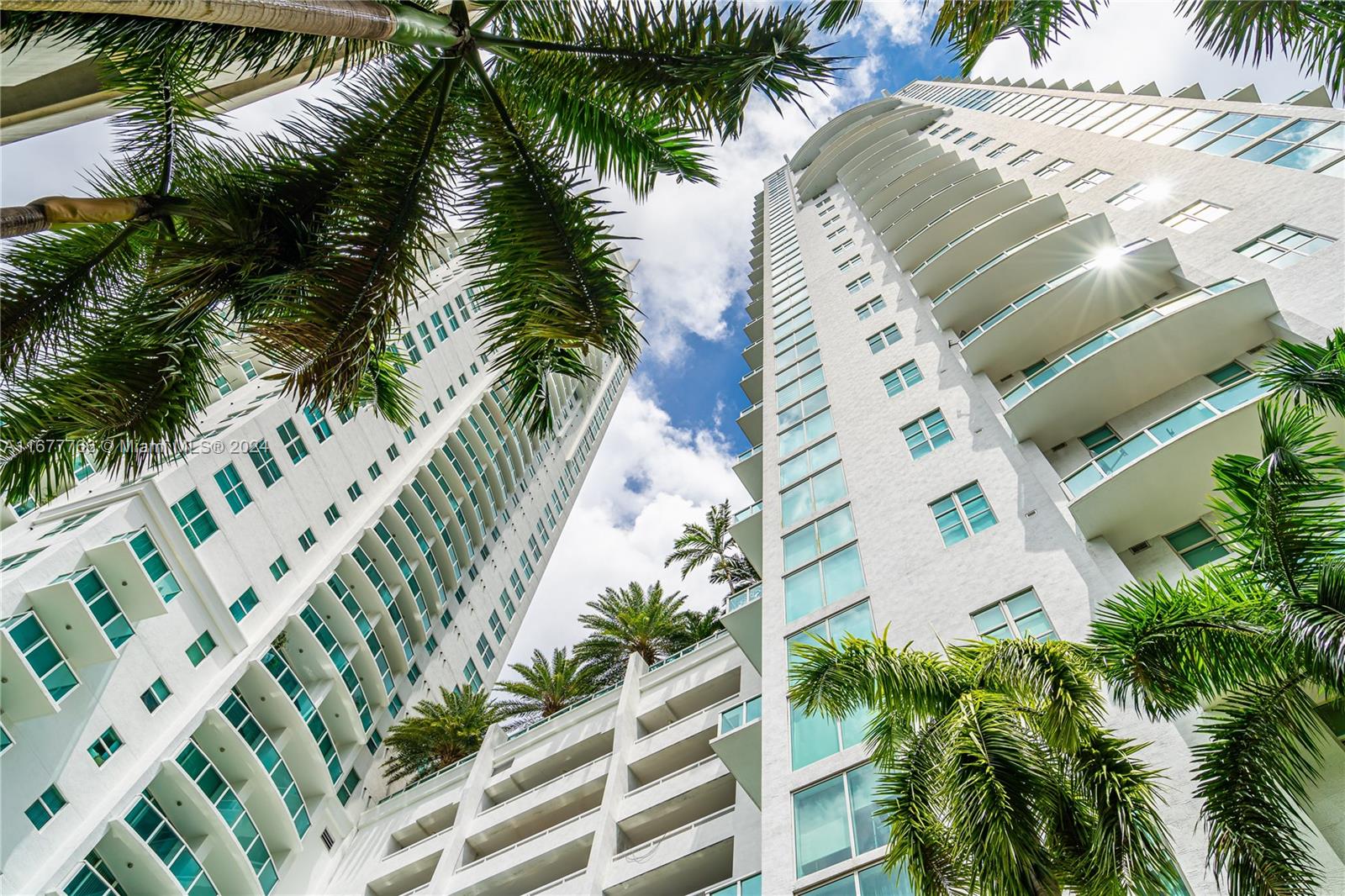 a view of a palm plant that is in front of a building