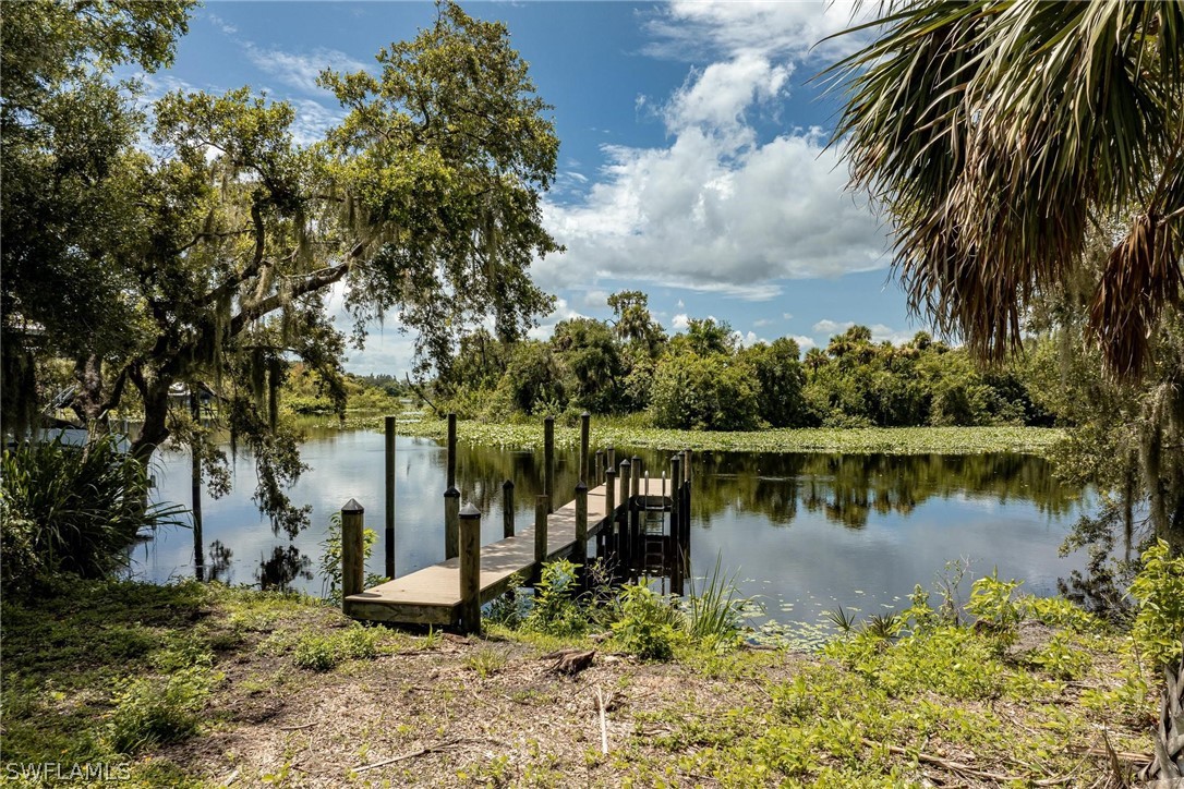 a body of water with a tree in the background