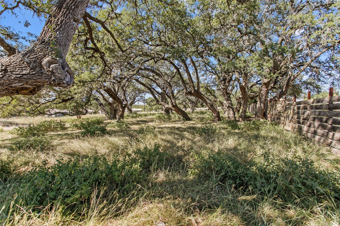 a view of a yard