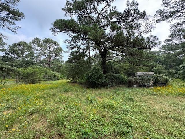 a view of an outdoor space and a yard