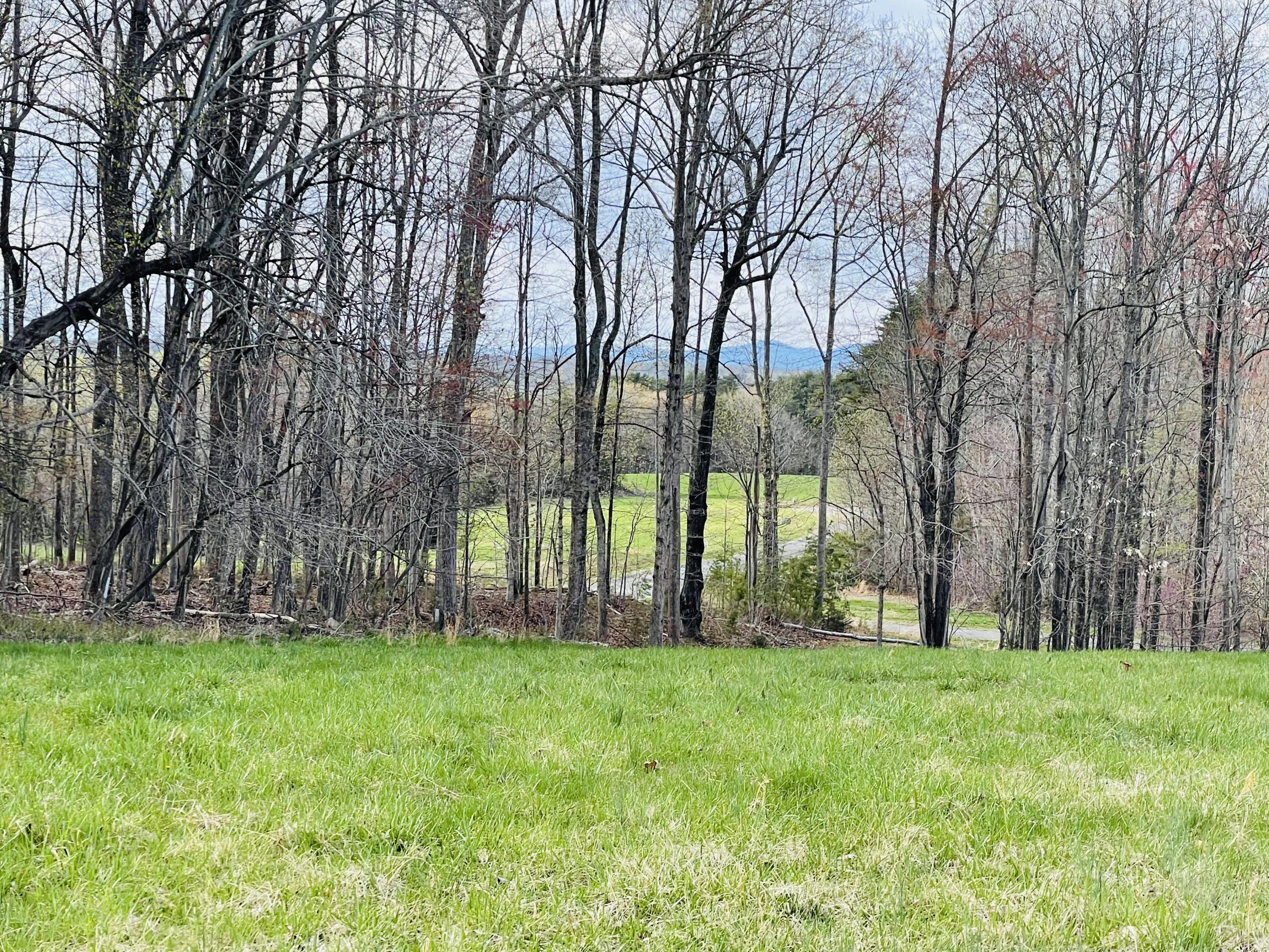 a view of green field