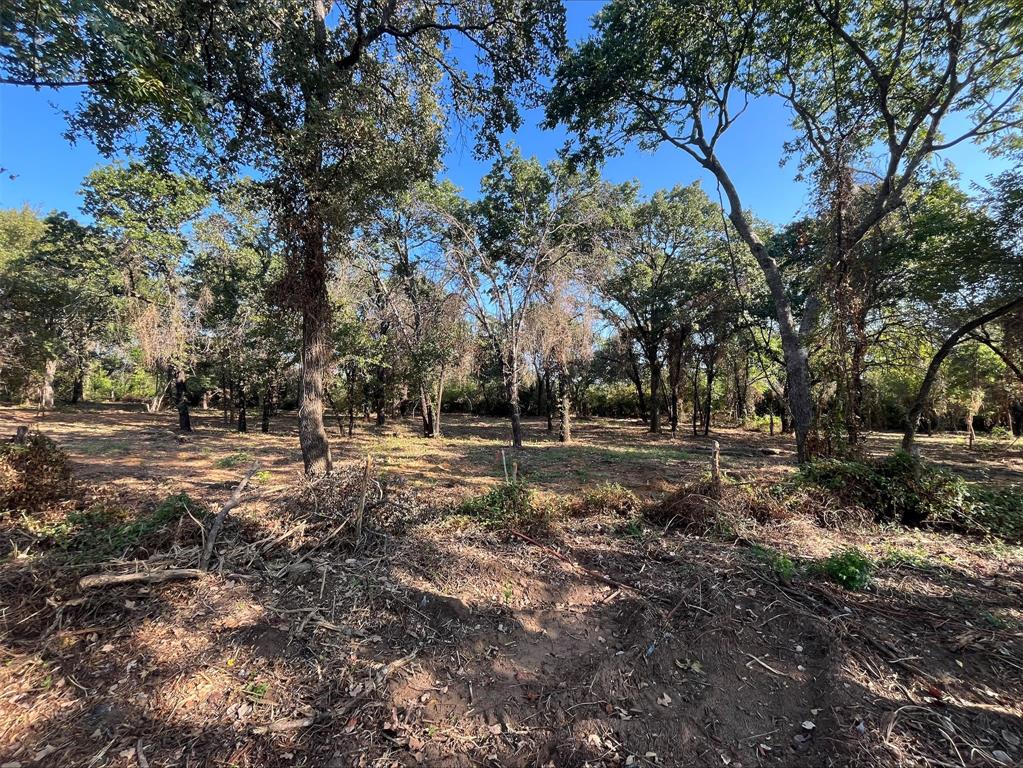 a view of outdoor space with trees