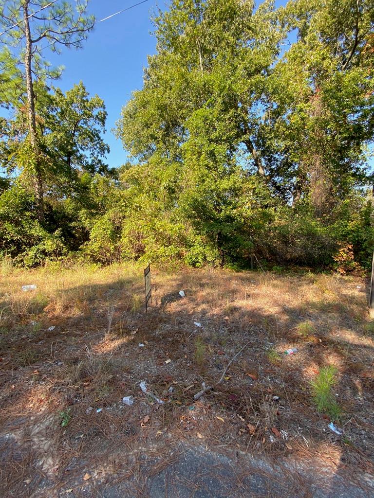 a view of a yard with a tree