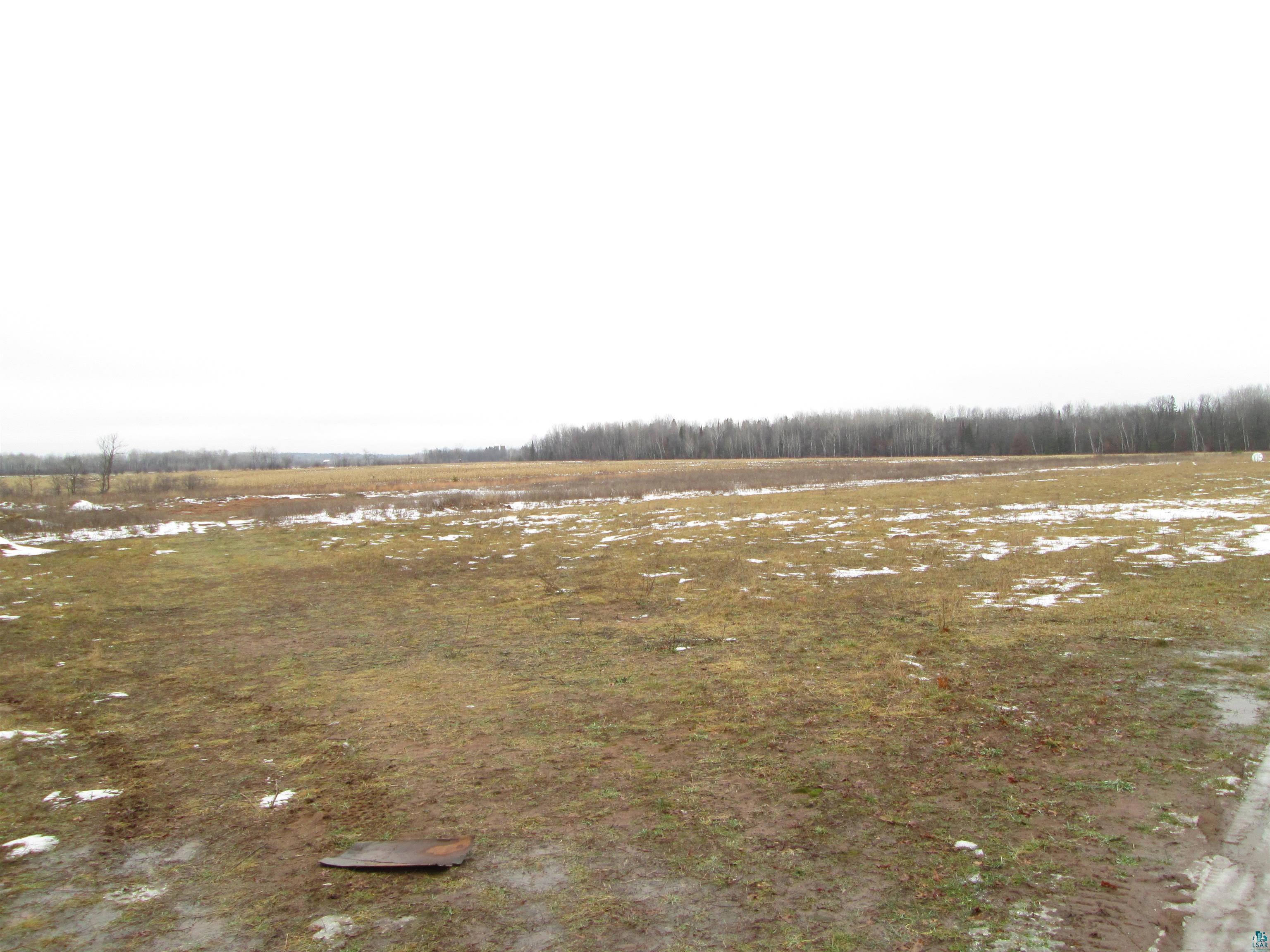 View of local wilderness with a rural view