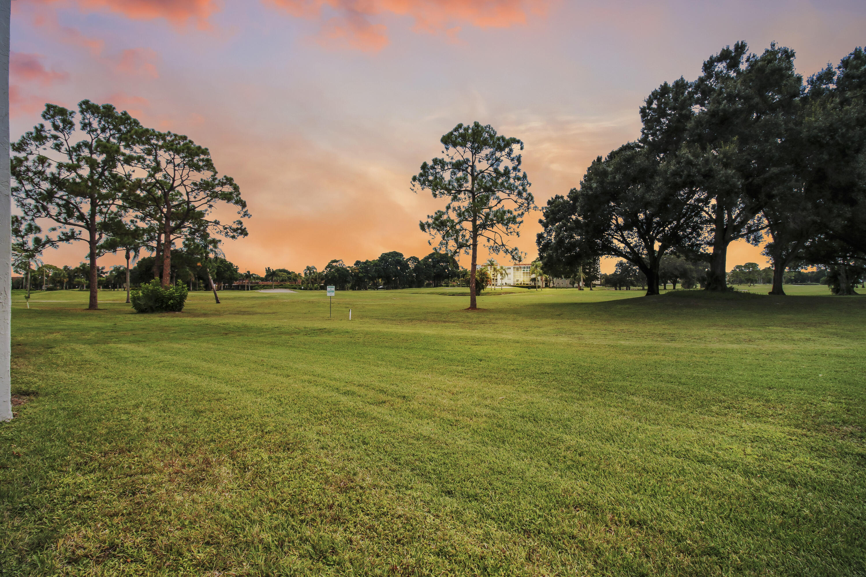 a view of a field with trees