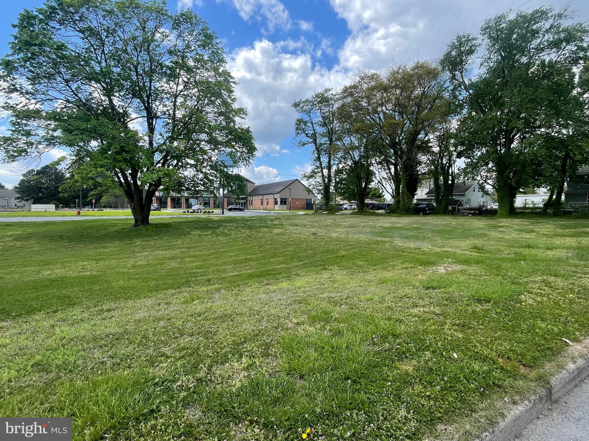 a view of a field with a tree