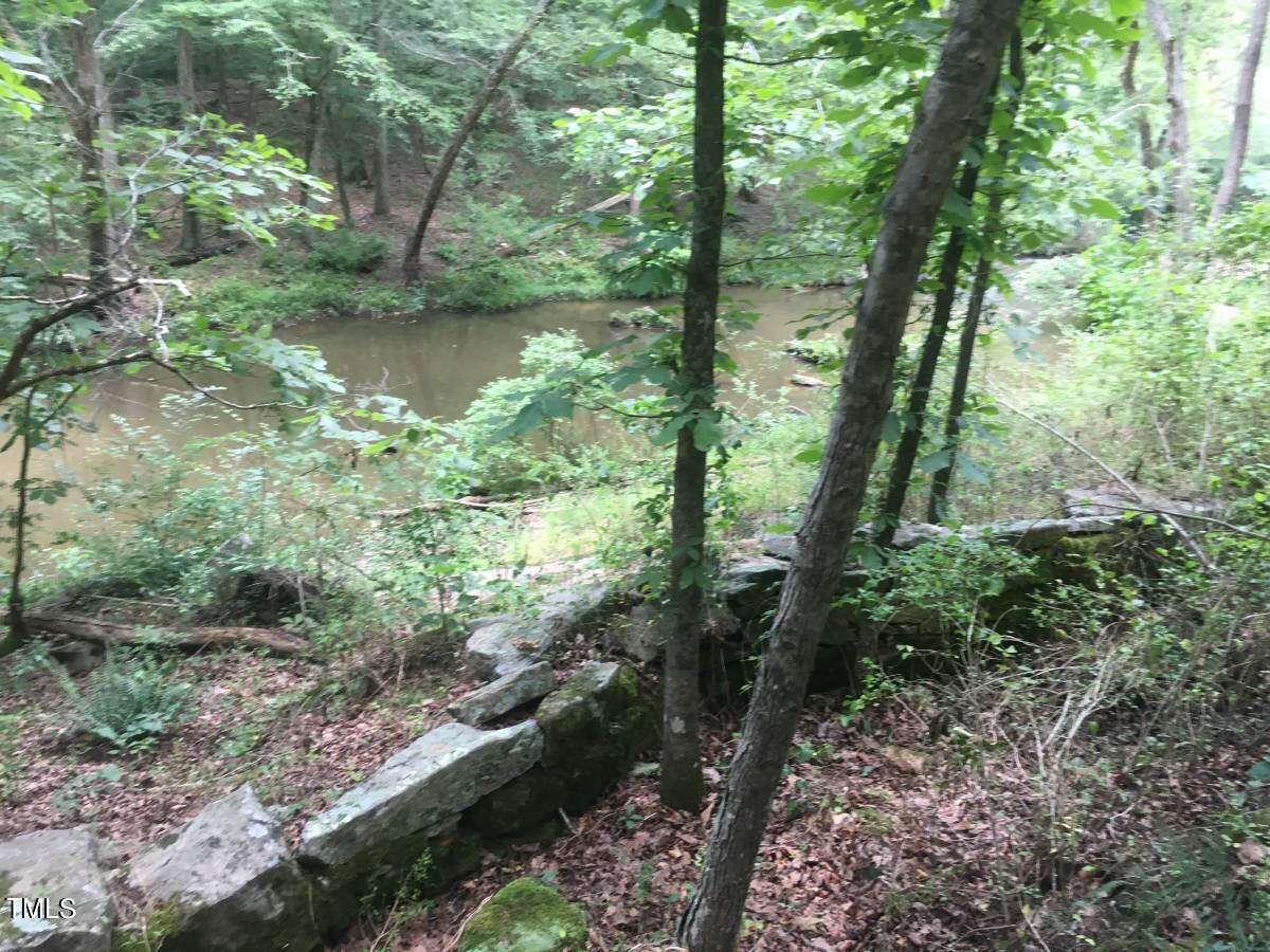 a view of a forest with trees