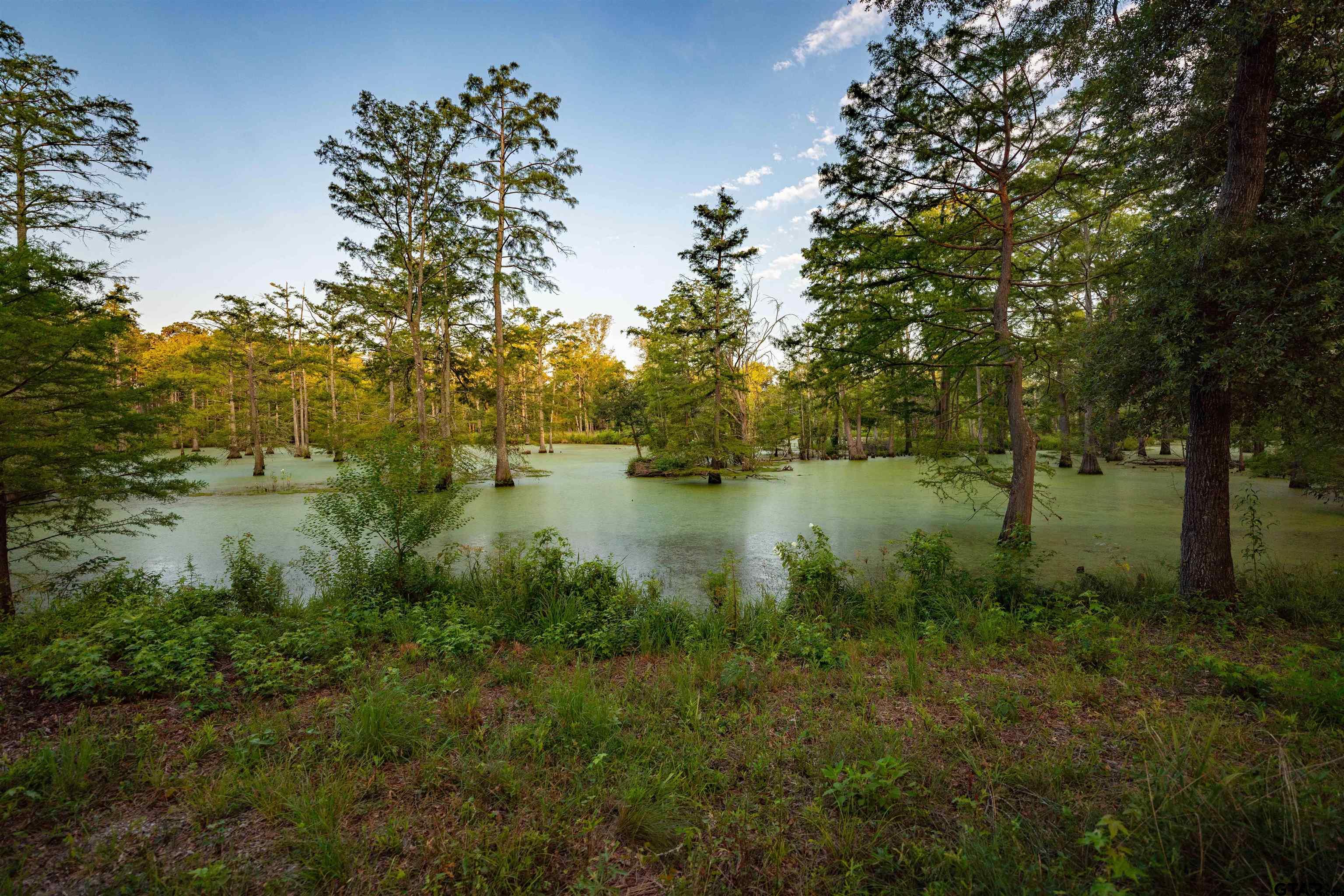 a view of lake with green space