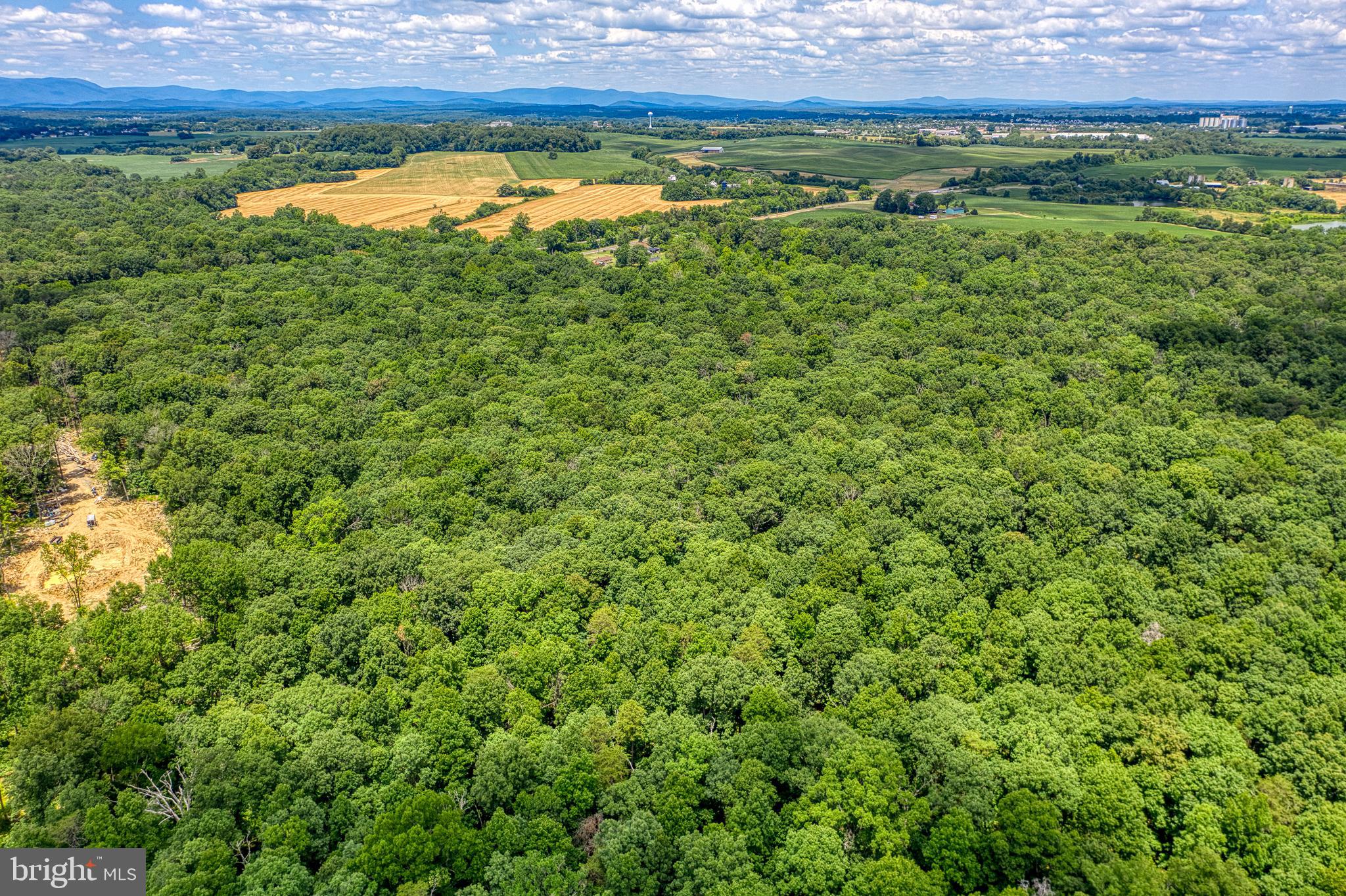 a view of a lush green field