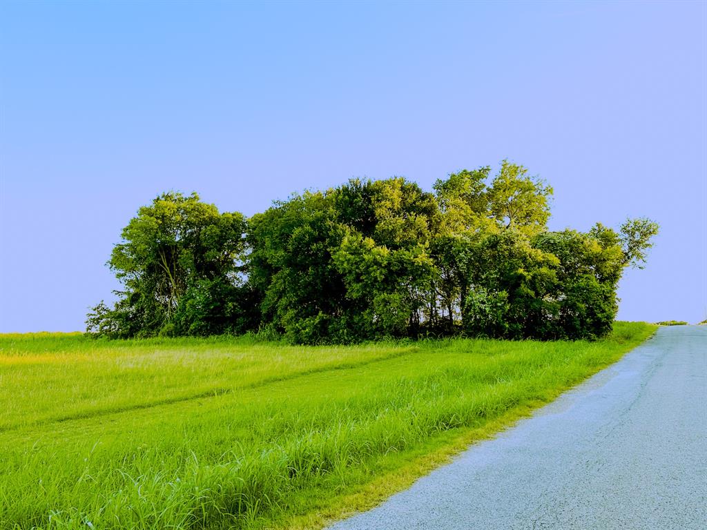 a view of a grassy field with trees