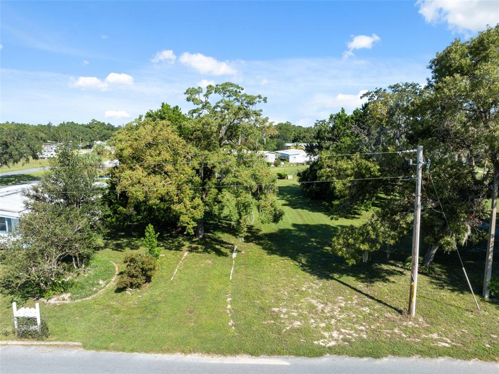 a view of a big yard