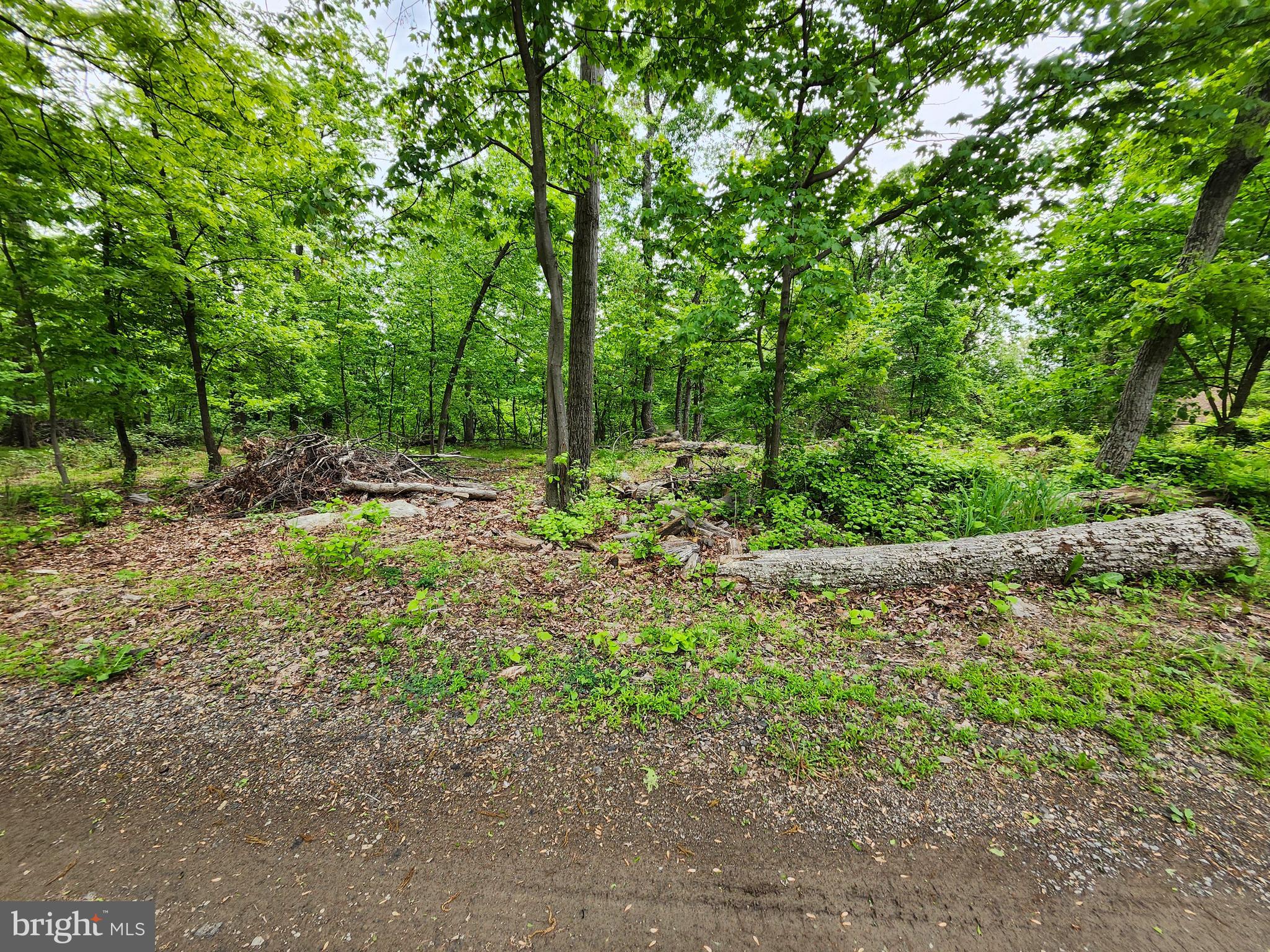 a view of outdoor space and trees