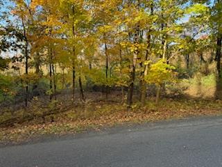 View of road