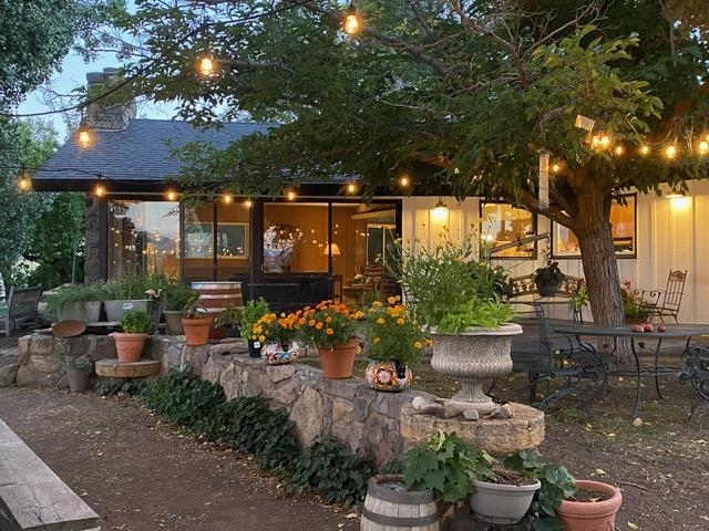 a view of a patio with couches and table and chairs and potted plants